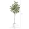 6ft. Artificial Eucalyptus Tree with White Decorative Planter
